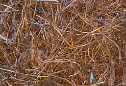 廢銅線撕碎機(jī)